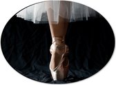 Dibond Ovaal - Ballerina - Balet - Schoenen - Dansen - 28x21 cm Foto op Ovaal (Met Ophangsysteem)