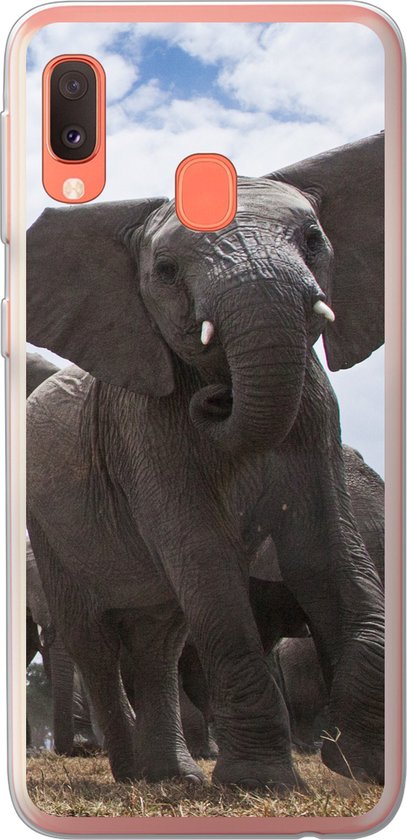Une coque de téléphone représentant un éléphant regardant vers l'avant, la trompe enroulée et les grandes oreilles déployées, sur un ciel bleu.