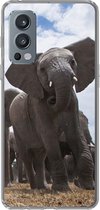 Telefoonhoesje Geschikt voor OnePlus Nord 2 5G hoesje - Olifant - Dieren - Natuur - Vlakte - Siliconen Telefoonhoesje