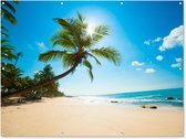 Décoration murale extérieure Plage - Mer - Soleil - Palmier - 160x120 cm - Toile de jardin - Poster extérieur