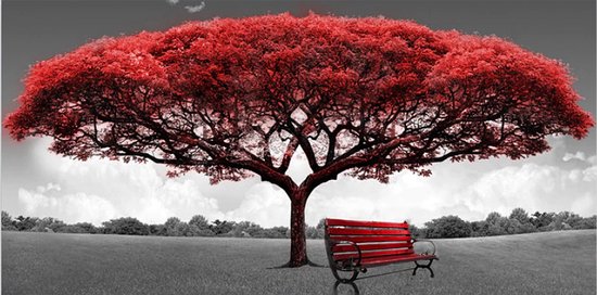 Allernieuwste.nl® Canvas Schilderij * Rode Money Tree - Geldboom * - Kunst aan je Muur - Romantisch - Kleur - 70 x 100 cm