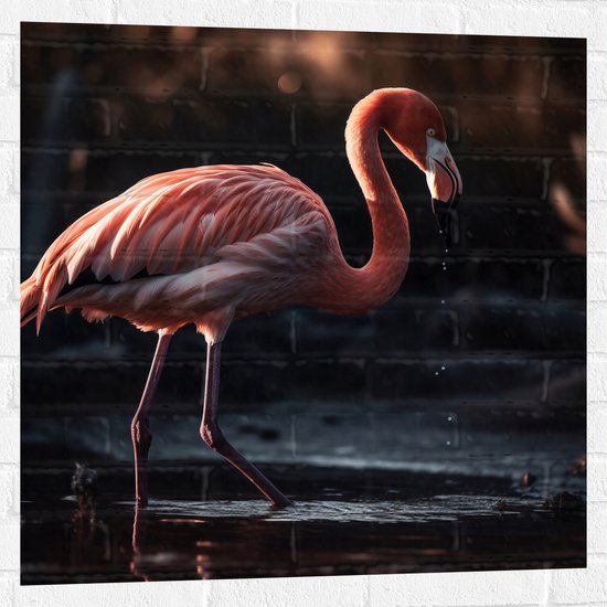 Muursticker - Flamingo - Water - Kleuren - 80x80 cm Foto op Muursticker