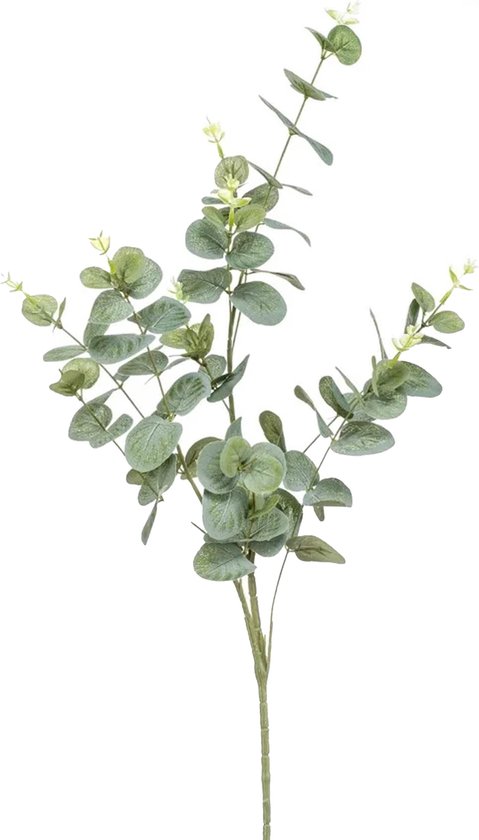 Emerald Kunstplant Eucalyptus - groen - takken - 75 cm