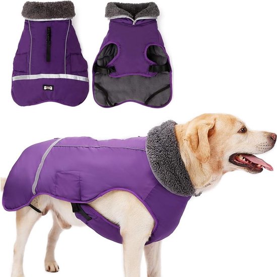 Manteau imperméable coupe-vent pour chien par temps froid