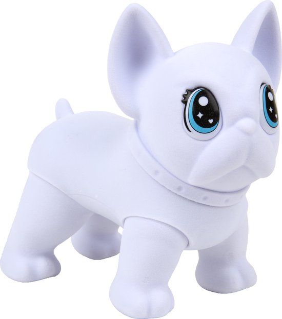 Close-up van een witte Franse Bulldog Washimal met grote blauwe ogen en een halsband.