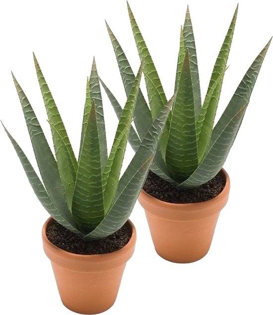 Kunstplant Aloe Vera - 2x - groen - in terracotta pot - 23 cm