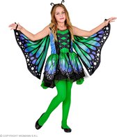 Widmann - Vlinder Kostuum - Prachtige Sier Vlinder - Meisje - Blauw, Groen - Maat 116 - Carnavalskleding - Verkleedkleding