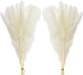 30 stuks pampasgras, 45 cm, natuurlijk pampasgras, gedroogd, wit, decoratief boeket droogbloemen voor woonkamer, slaapkamer, boho, tafeldecoratie bruiloft (wit)