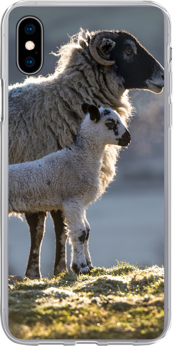 Telefoonhoesje Geschikt voor iPhone Xs hoesje - Schaap - Lam - Zon - Siliconen Telefoonhoesje Telefoonhoesje