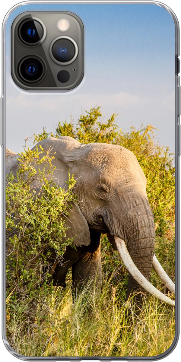 Telefoonhoesje Geschikt voor iPhone 13 Pro hoesje - Olifant - Dieren - Gras - Groen - Berg - Siliconen Telefoonhoesje Telefoonhoesje