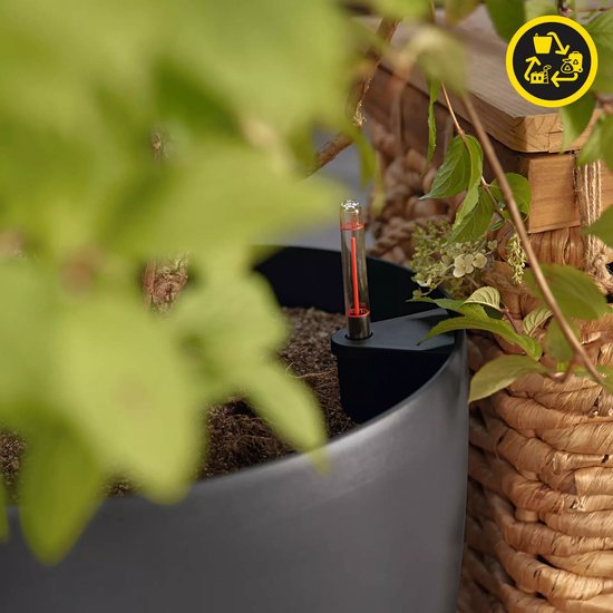 Lechuza Classico Color 43, Sandbraun, All In One Set, 42 Cm, H: 39,5 Cm - Foto 2