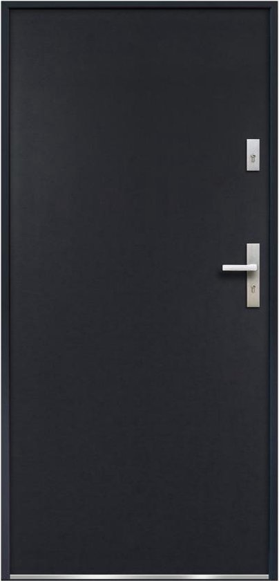 Porte pleine acier H.207 x L.100 cm anthracite - Pousser à droite - AGUEDA L 95 cm x H 203,5 cm x P 9 cm