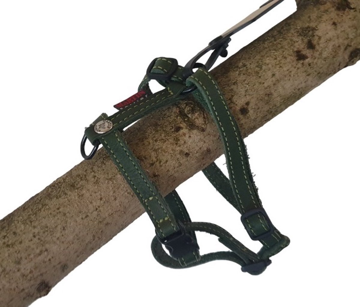 MARTIN SELLIER Nature Harnas / Hondentuigje - Gevet Leder - Groen - XXS - Breedte: 10 mm - Borstomtrek: 32-35 cm (GELIEVE ALVORENS BESTELLEN OPMETEN)
