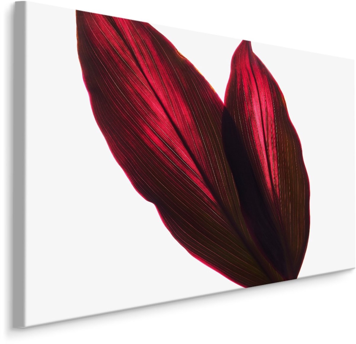 karo-art Schilderij - Rode Bloem Bladeren, 5 maten, Premium print Multikleur