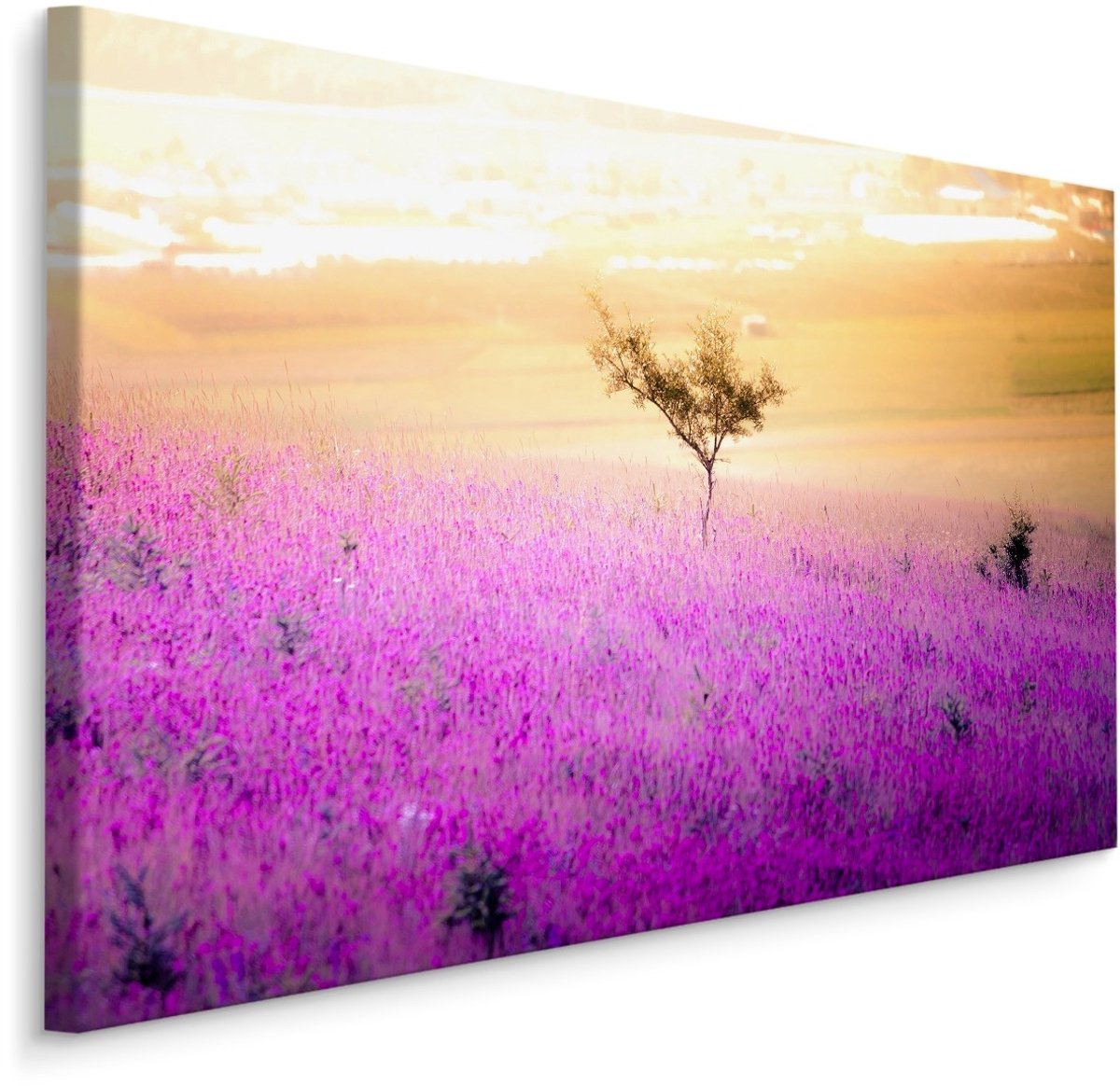 karo-art Schilderij - Eenzame Boom in een Lavendel Veld, Premium Print Multikleur