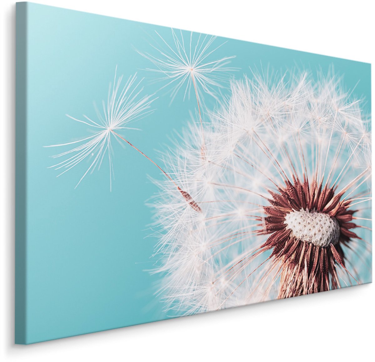 karo-art Schilderij - Prachtige Paardenbloem , Wanddecoratie , Premium print Multikleur