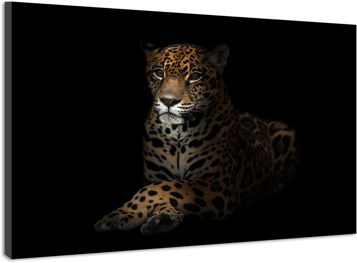 karo-art Schilderij -Luipaard in het donker 2 , 100x70cm, premium print Multikleur