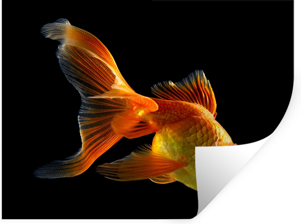 Muurstickers - Sticker Folie - Goudvis - Dieren - Zwart - 120x90 cm - Plakfolie - Muurstic