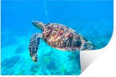 Muurstickers - Sticker Folie - Schildpad - Zee - Blauw - 90x60 cm - Plakfolie - Muurstickers Kinderkamer - Zelfklevend Behang - Zelfklevend behangpapier - Stickerfolie