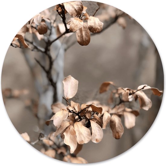 Label2X Cercle mural délavé - Ø 40 cm - Forex (intérieur)