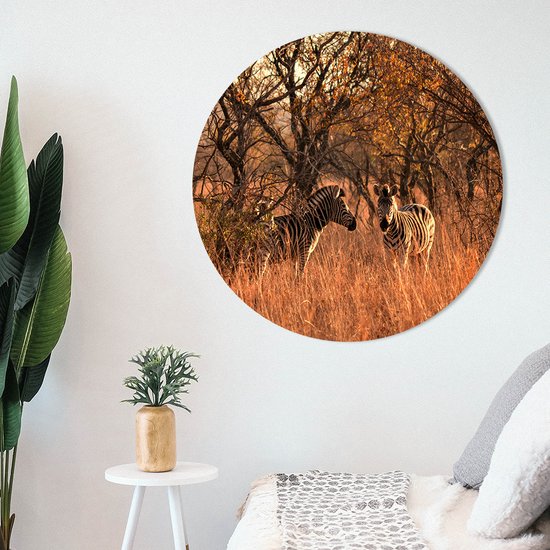 Label2X - Muurcirkel zebra - Ø 120 cm - Forex - Multicolor - Wandcirkel - Rond Schilderij - Muurdecoratie Cirkel - Wandecoratie rond - Decoratie voor woonkamer of slaapkamer