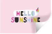 Muurstickers - Sticker Folie - Zomer - IJs - Roze - 120x80 cm - Plakfolie - Muurstickers Kinderkamer - Zelfklevend Behang - Zelfklevend behangpapier - Stickerfolie