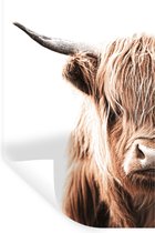 Stickers Stickers muraux - Highlander écossais - Animal - Taureau - 40x60 cm - Feuille adhésive