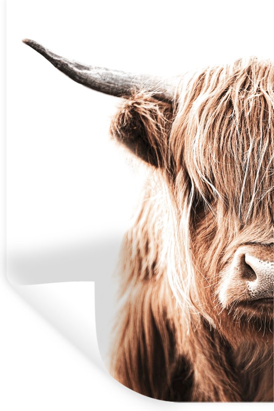 Muurstickers - Sticker Folie - Schotse hooglander - Dier - Stier - 40x60 cm - Plakfolie - Muurstickers Kinderkamer - Zelfklevend Behang - Zelfklevend behangpapier - Stickerfolie