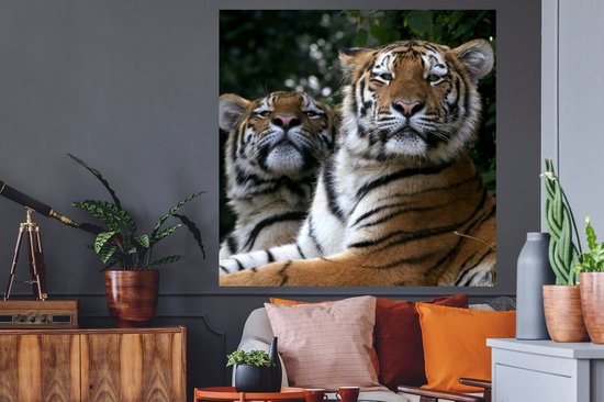 Stickers muraux - Tigres - Forêt - Têtes - 120x120 cm - Film Adhésif XXL