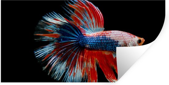 Poisson - Créature marine - Staart - Aluminium Blauw