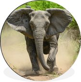 Cercle mural - Cercle mural - Eléphant courant - Aluminium - Dibond - ⌀ 30 cm - Intérieur et Extérieur