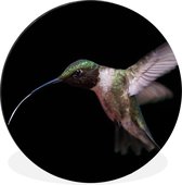 WallCircle - Cercle Mural - Cercle Mural - Colibri - Vogel - Ressorts - Aluminium - Dibond - 140x140 cm - Intérieur et Extérieur