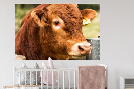 Stickers muraux - Film autocollant - Highlander écossais - Berg - Clôture - 120x80 cm - Film adhésif - Stickers muraux chambre d'enfant - Papier peint autocollant - Papier peint autocollant - Film autocollant