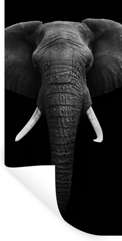 Muurstickers - Sticker Folie - Olifant - Wilde dieren - Zwart - Wit - Portret - 80x160 cm - Plakfolie - Muurstickers Kinderkamer - Zelfklevend Behang - Zelfklevend behangpapier - Stickerfolie