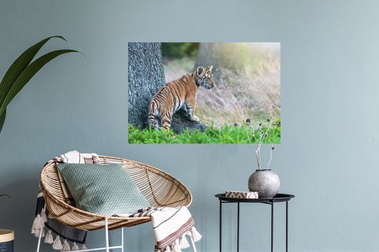 Stickers muraux - Film adhésif - Tigre dans la forêt - 60 x 40 cm - Film adhésif - Stickers muraux chambre d'enfant - Papier peint autocollant - Film adhésif