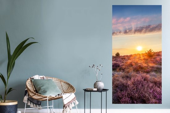 Heather fleurissant pendant le coucher du soleil aux Nederland