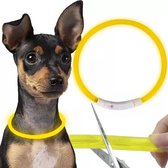 PetPaws - LED hondenhalsband - Rond - USB - Geel - M