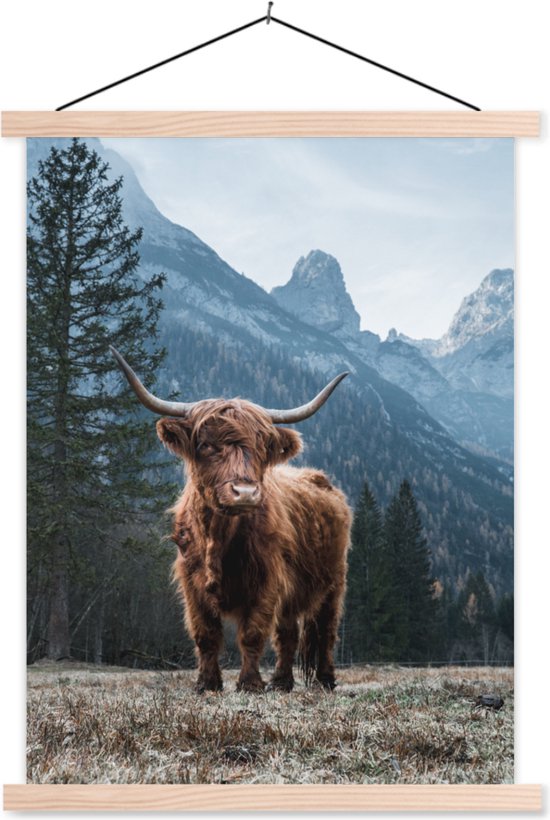 Posterhanger incl. Poster - Schoolplaat - Schotse hooglander - Berg - Landschap - Bomen - Koe - Natuur - 60x80 cm - Blanke latten