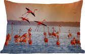 Buitenkussens - Tuin - Vogel - Flamingo - Water - Zonsondergang - Roze - 50x30 cm