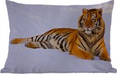 Buitenkussens - Tuin - Tijger - Sneeuw - Winter - Dieren - 50x30 cm