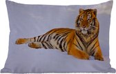 Buitenkussens - Tijger - Sneeuw - Winter - Dieren - 60x40 cm - Weerbestendig