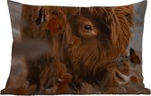 Buitenkussens - Schotse hooglander - Vlinders - Bloemen - 60x40 cm - Weerbestendig