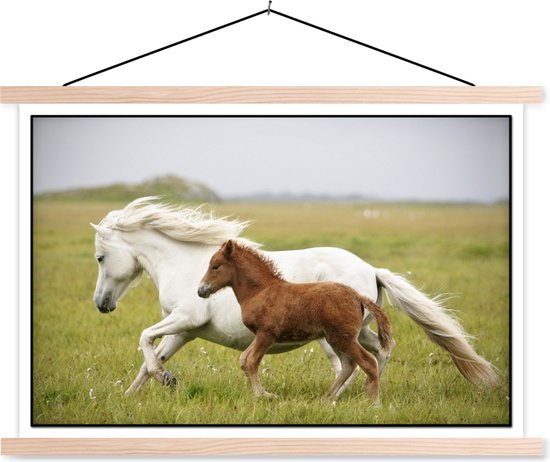 Affiche textielposter course cheval et poulain 60x40 cm