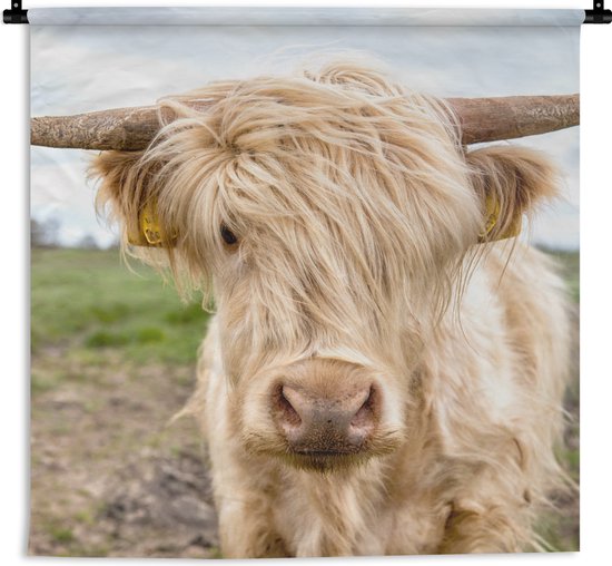 Tapisserie murale - Tissu mural - Highlander écossais - Lumière - Paysage - 120x120 cm - Tapisserie