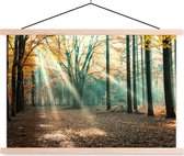 Posterhanger incl. Poster - Schoolplaat - Herfstbos in Nederland - 120x80 cm - Blanke latten