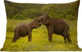 Buitenkussens - Tuin - Twee vechtende olifanten - 50x30 cm