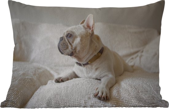 Coussins d'extérieur - Jardin - Bouledogue français Witte regarde de côté - 60x40 cm