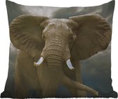 Buitenkussen - Afrikaanse olifant tegen de donkere wolken - 45x45 cm - Weerbestendig