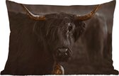 Buitenkussens - Tuin - Schotse hooglander - Goud - Koebel - Hoorns - Dieren - 50x30 cm