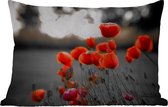 Buitenkussens - Tuin - Wilde rode klaprozen in een groot veld met een zwart witte achtergrond - 50x30 cm